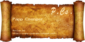 Papp Csenger névjegykártya
